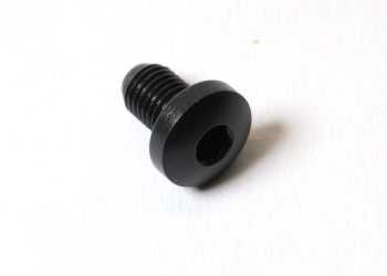 Grip Screw, Hex, Black 24 pieces 1911 grip screw, grip screw hex,challis grip screw,blue grip screw,1911 screw,hex grip screw, 1911 grip, 1911 grip screw, 1911, challis, challis screw